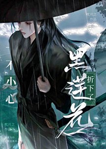 一不小心折下了黑蓮花